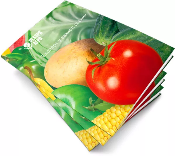 Продам семена овощных Семко - Юниор огурцы,  томаты,  капуста и. т.д. 3