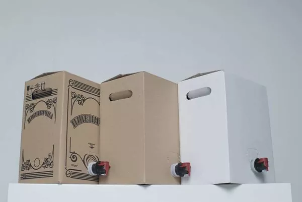 Коробки Bag in Box (бегинбокс) по цене от производителя 2